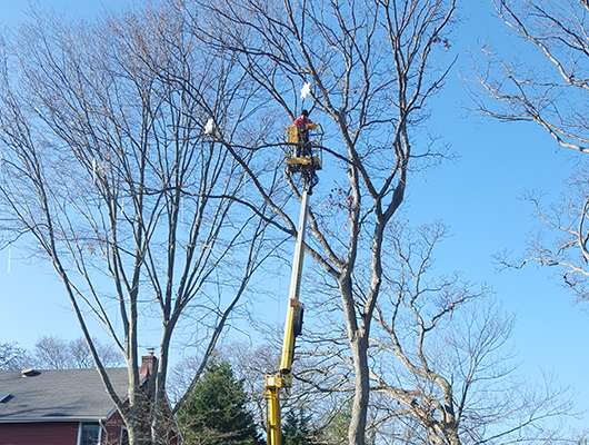 Holiday Light Installation Nassau County